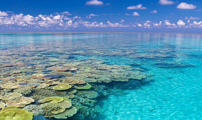 Marine Atlas Image 1