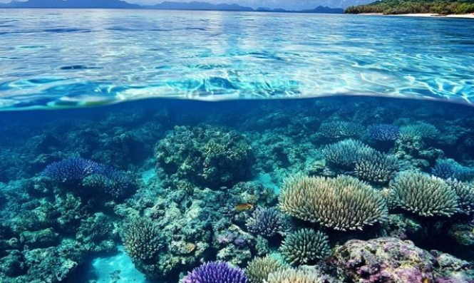 Marine Atlas Image 2